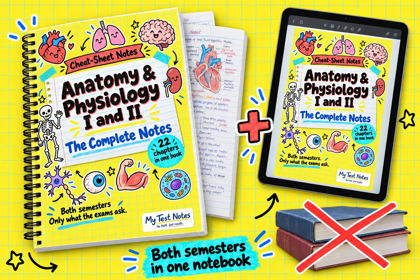 Anatomy & Physiology I and II: The Complete Handwritten-style Notes
