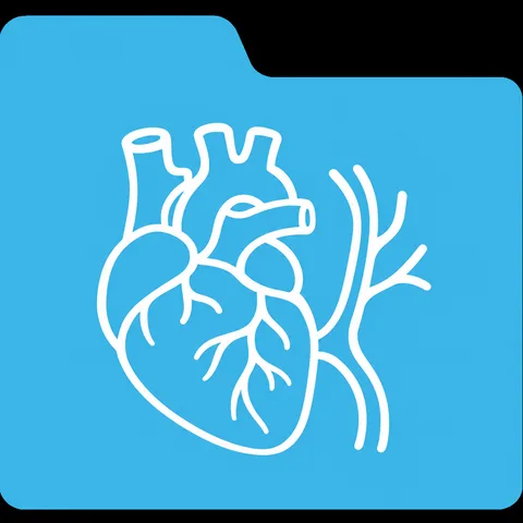 Anatomy & Physiology I and II: The Complete Handwritten-style Notes